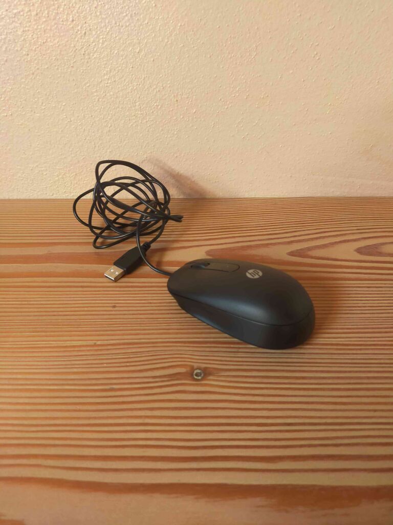 mouse