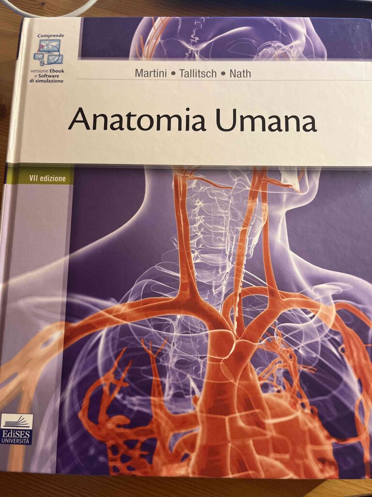 Anatomia Umana