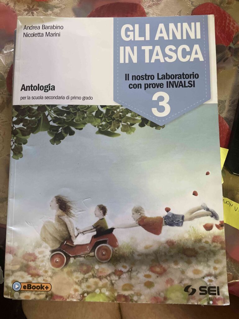 Anni in tasca 3 (gli)