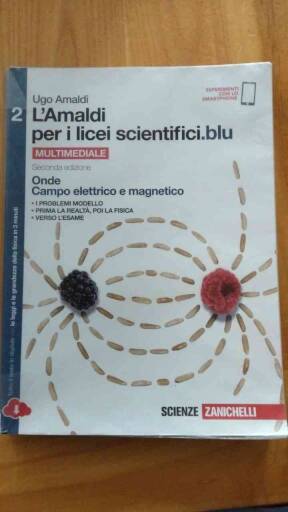 Amaldi Per I Licei Scientifici Blu (l') 2ed  - Volume 2 (ldm)